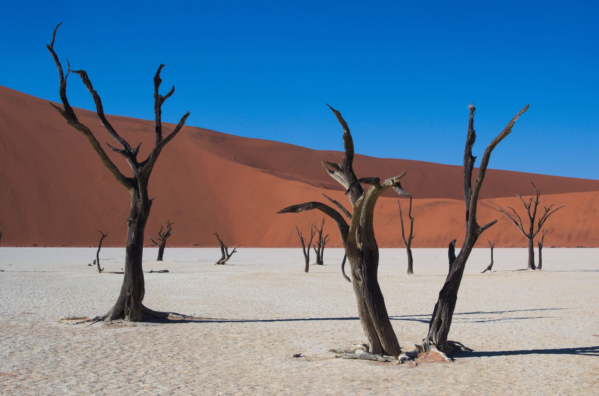 viaje organizado a Namibia