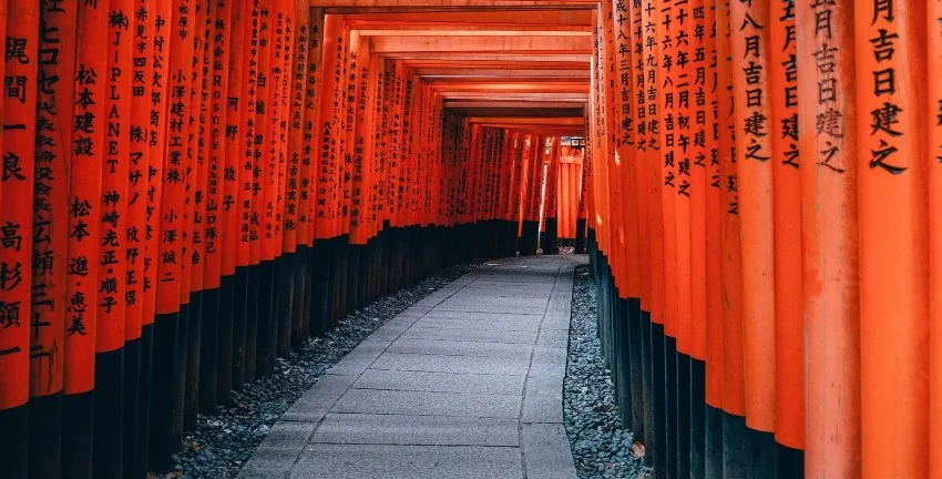 planificador de viajes en grupo a Japón