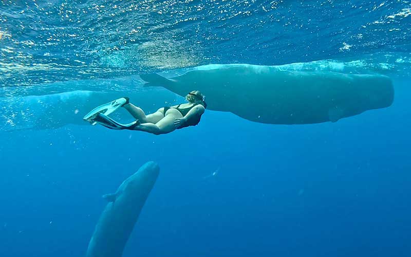 experiencias en Isla Mauricio