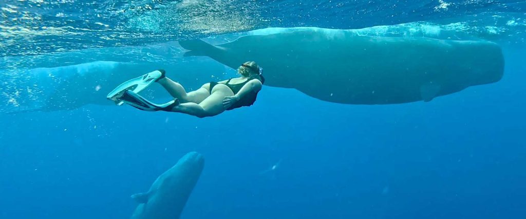 experiencias en Isla Mauricio
