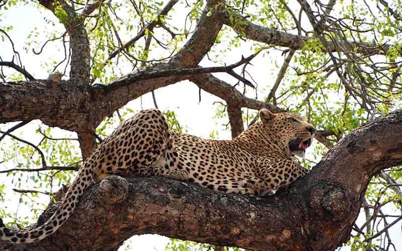 Qué ver en Sudáfrica
