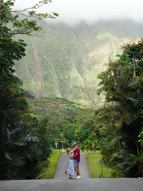 Ho omaluhia botanical garden