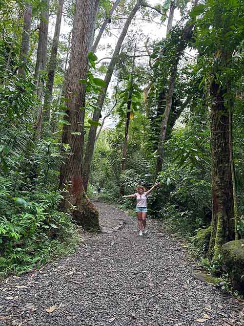 Manoa falls